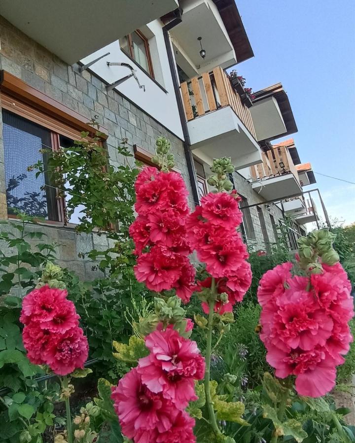 Lesnovo House Tomevski Eksteriør bilde